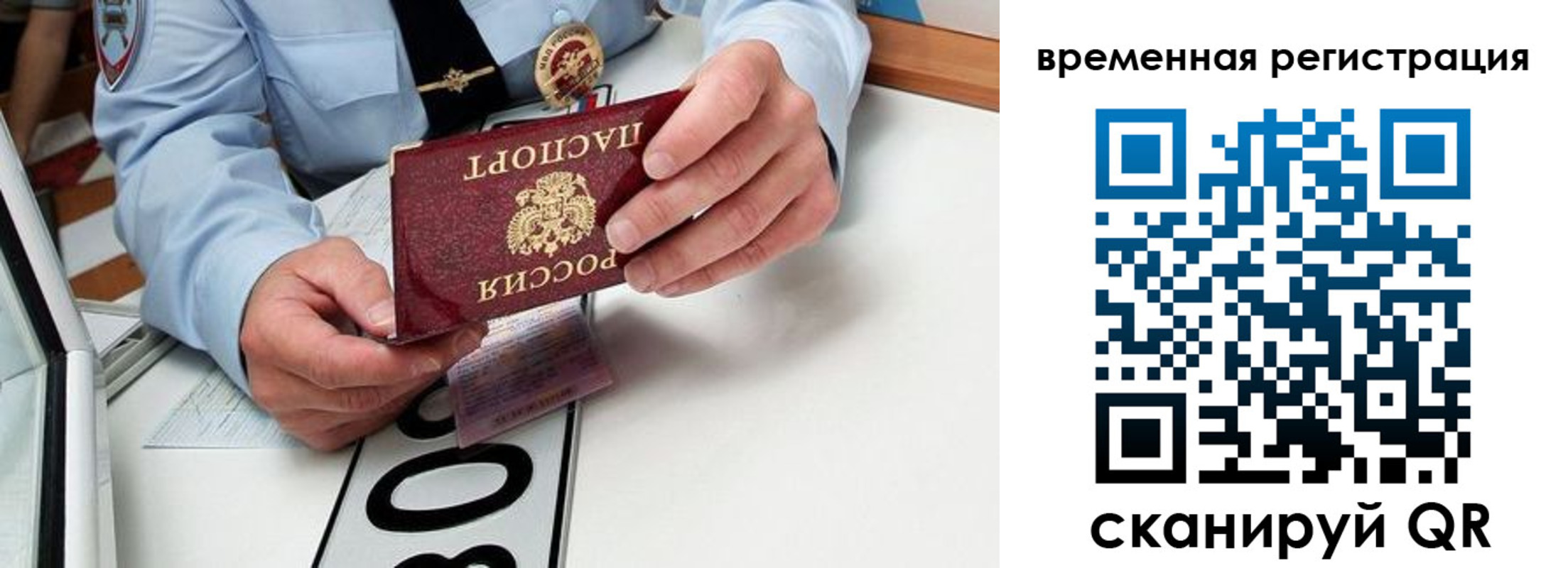 прописка гарантия в Чкаловске